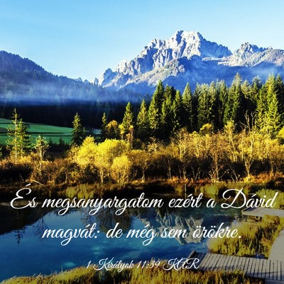 Picture 03 - 1 Királyok 11:39 KAR - És megsanyargatom ezért a Dávid magvát: de - Bible Verse Picture