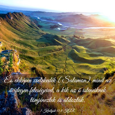 Picture 03 - 1 Királyok 11:8 KAR - És ekképen cselekedék [Salamon] mind az õ - Bible Verse Picture