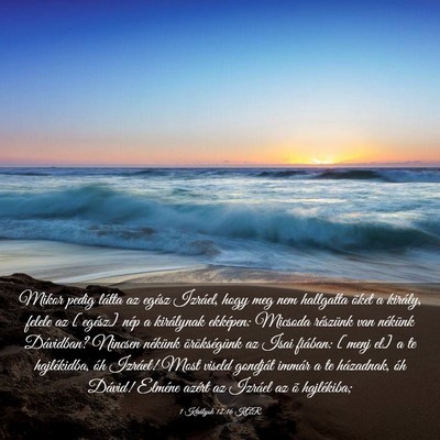 Picture 03 - 1 Királyok 12:16 KAR - Mikor pedig látta az egész Izráel, hogy meg - Bible Verse Picture