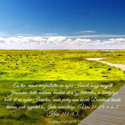 Picture 03 - 1 Királyok 12:20 KAR - És lõn, mikor meghallotta az egész Izráel, - Bible Verse Picture
