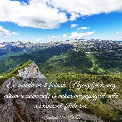 Picture 03 - 1 Királyok 13:13 KAR - És monda az õ fiainak: Nyergeljétek meg nékem - Bible Verse Picture