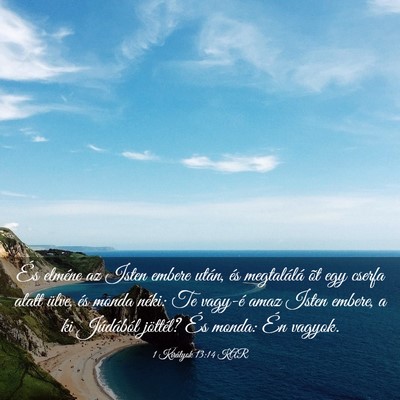 Picture 03 - 1 Királyok 13:14 KAR - És elméne az Isten embere után, és - Bible Verse Picture