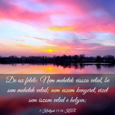 Picture 03 - 1 Királyok 13:16 KAR - De az felele: Nem mehetek vissza veled, be sem - Bible Verse Picture
