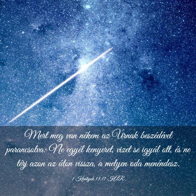 Picture 03 - 1 Királyok 13:17 KAR - Mert meg van nékem az Úrnak beszédével - Bible Verse Picture