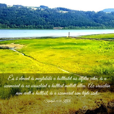 Picture 03 - 1 Királyok 13:28 KAR - És õ elment és megtalálá a holttestet az - Bible Verse Picture
