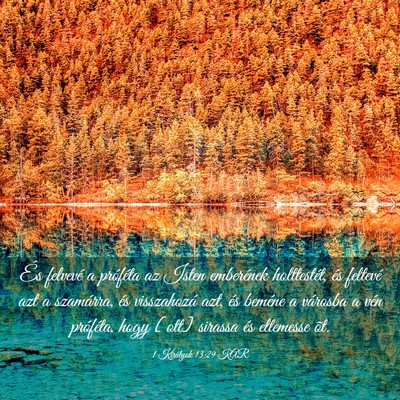 Picture 03 - 1 Királyok 13:29 KAR - És felvevé a próféta az Isten emberének - Bible Verse Picture