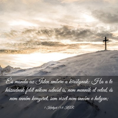 Picture 03 - 1 Királyok 13:8 KAR - És monda az Isten embere a királynak: Ha a te - Bible Verse Picture