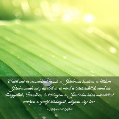 Picture 03 - 1 Királyok 14:10 KAR - Azért ímé én veszedelmet hozok a Jeroboám - Bible Verse Picture