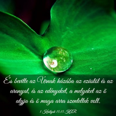 Picture 03 - 1 Királyok 15:15 KAR - És bevitte az Úrnak házába az ezüstöt és - Bible Verse Picture
