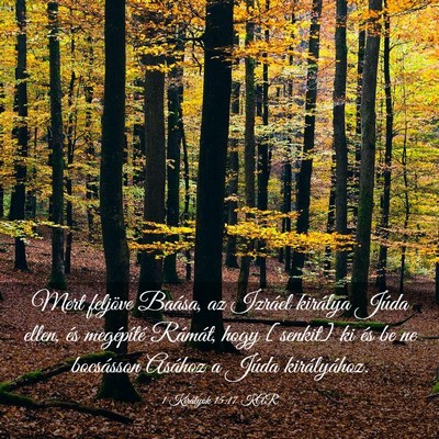 Picture 03 - 1 Királyok 15:17 KAR - Mert feljöve Baása, az Izráel királya Júda - Bible Verse Picture