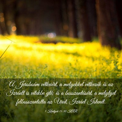 Picture 03 - 1 Királyok 15:30 KAR - A Jeroboám vétkeiért, a melyekkel vétkezék - Bible Verse Picture