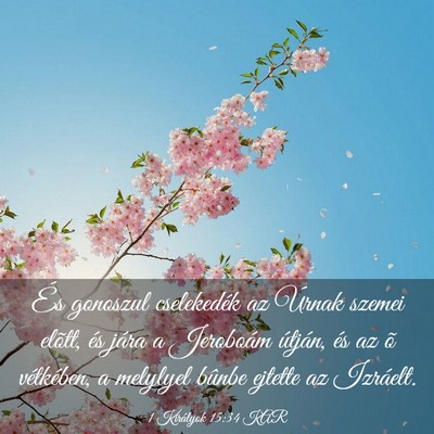 Picture 03 - 1 Királyok 15:34 KAR - És gonoszul cselekedék az Úrnak szemei elõtt, - Bible Verse Picture