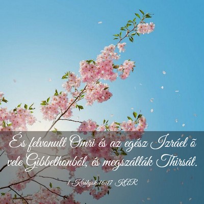 Picture 03 - 1 Királyok 16:17 KAR - És felvonult Omri és az egész Izráel õ vele - Bible Verse Picture