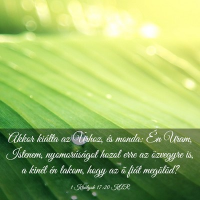 Picture 03 - 1 Királyok 17:20 KAR - Akkor kiálta az Úrhoz, és monda: Én Uram, - Bible Verse Picture