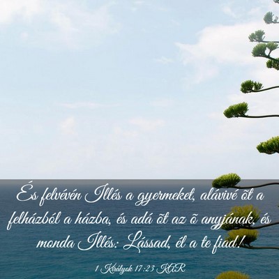 Picture 03 - 1 Királyok 17:23 KAR - És felvévén Illés a gyermeket, alávivé õt - Bible Verse Picture