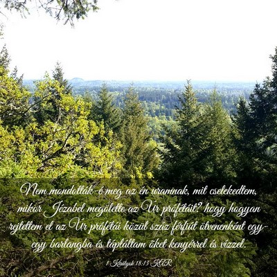Picture 03 - 1 Királyok 18:13 KAR - Nem mondották-é meg az én uramnak, mit - Bible Verse Picture