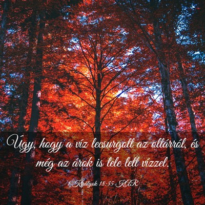 Picture 03 - 1 Királyok 18:35 KAR - Úgy, hogy a víz lecsurgott az oltárról, és - Bible Verse Picture