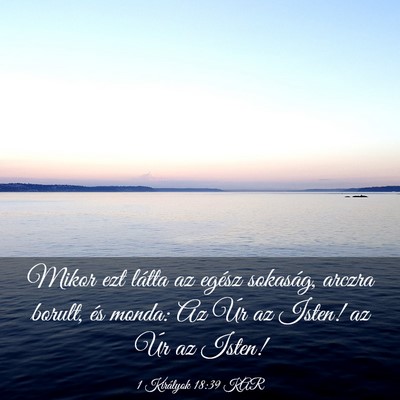 Picture 03 - 1 Királyok 18:39 KAR - Mikor ezt látta az egész sokaság, arczra - Bible Verse Picture