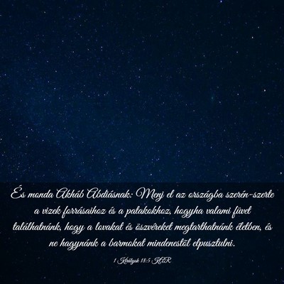 Picture 03 - 1 Királyok 18:5 KAR - És monda Akháb Abdiásnak: Menj el az országba - Bible Verse Picture