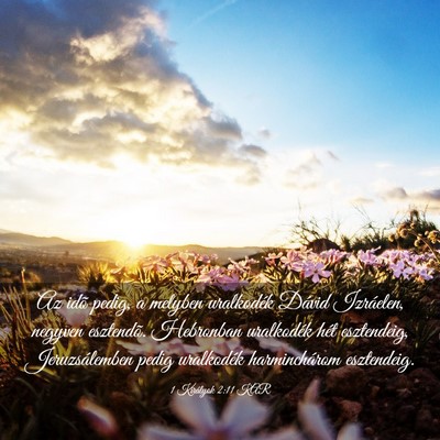 Picture 03 - 1 Királyok 2:11 KAR - Az idõ pedig, a melyben uralkodék Dávid - Bible Verse Picture