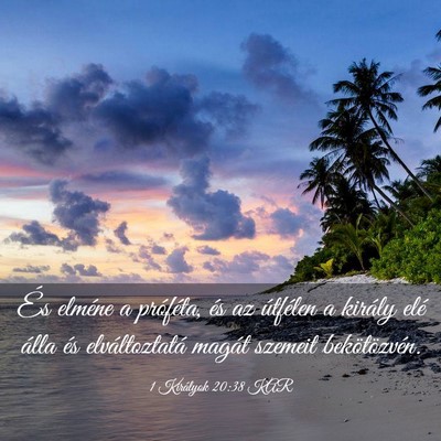 Picture 03 - 1 Királyok 20:38 KAR - És elméne a próféta, és az útfélen a - Bible Verse Picture