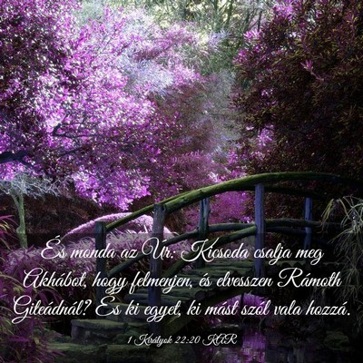 Picture 03 - 1 Királyok 22:20 KAR - És monda az Úr: Kicsoda csalja meg Akhábot, - Bible Verse Picture