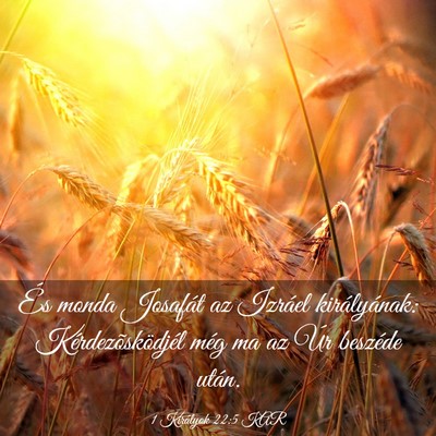 Picture 03 - 1 Királyok 22:5 KAR - És monda Josafát az Izráel királyának: - Bible Verse Picture