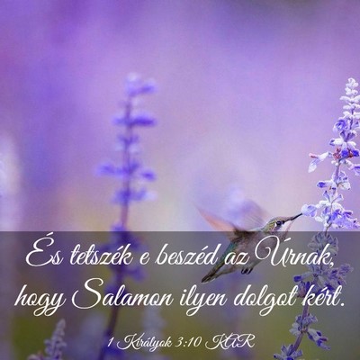 Picture 03 - 1 Királyok 3:10 KAR - És tetszék e beszéd az Úrnak, hogy Salamon - Bible Verse Picture