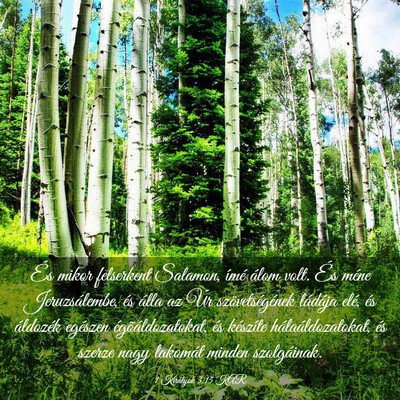 Picture 03 - 1 Királyok 3:15 KAR - És mikor felserkent Salamon, ímé álom volt. - Bible Verse Picture