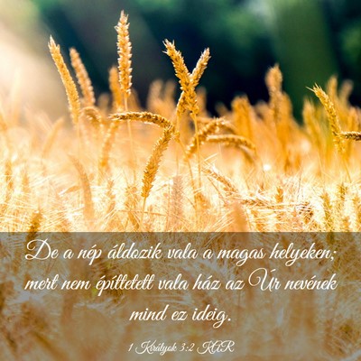 Picture 03 - 1 Királyok 3:2 KAR - De a nép áldozik vala a magas helyeken; mert - Bible Verse Picture