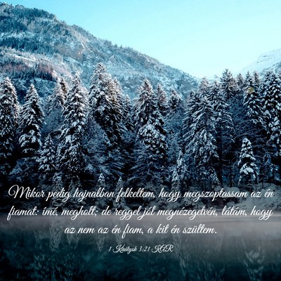 Picture 03 - 1 Királyok 3:21 KAR - Mikor pedig hajnalban felkeltem, hogy - Bible Verse Picture