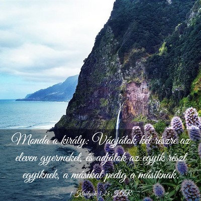 Picture 03 - 1 Királyok 3:25 KAR - Monda a király: Vágjátok két részre az - Bible Verse Picture