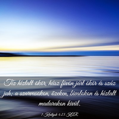 Picture 03 - 1 Királyok 4:23 KAR - Tíz hízlalt ökör, húsz füvön járt ökör - Bible Verse Picture