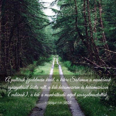 Picture 03 - 1 Királyok 5:16 KAR - A pallérok fejedelmein kivül, a kikre Salamon a - Bible Verse Picture