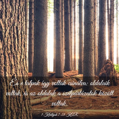 Picture 03 - 1 Királyok 7:28 KAR - És e talpak így voltak csinálva: oldalaik - Bible Verse Picture