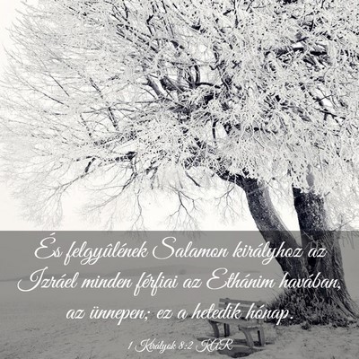 Picture 03 - 1 Királyok 8:2 KAR - És felgyûlének Salamon királyhoz az Izráel - Bible Verse Picture