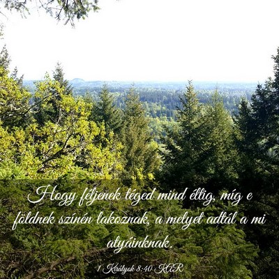 Picture 03 - 1 Királyok 8:40 KAR - Hogy féljenek téged mind éltig, míg e - Bible Verse Picture