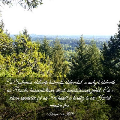 Picture 03 - 1 Királyok 8:63 KAR - És Salamon áldozék hálaadó áldozatul, a - Bible Verse Picture