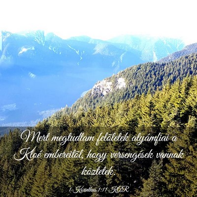 Picture 03 - 1 Korinthus 1:11 KAR - Mert megtudtam felõletek atyámfiai a Kloé - Bible Verse Picture