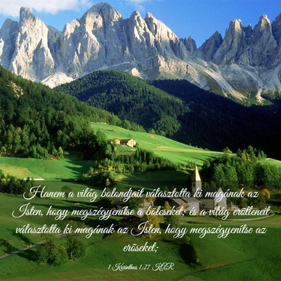 Picture 03 - 1 Korinthus 1:27 KAR - Hanem a világ bolondjait választotta ki - Bible Verse Picture