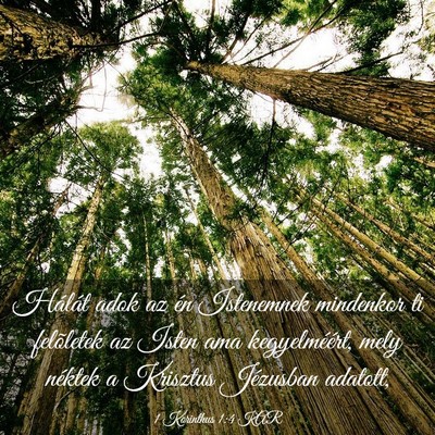 Picture 03 - 1 Korinthus 1:4 KAR - Hálát adok az én Istenemnek mindenkor ti - Bible Verse Picture