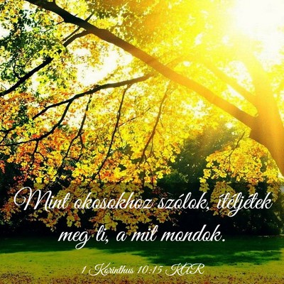 Picture 03 - 1 Korinthus 10:15 KAR - Mint okosokhoz szólok, ítéljétek meg ti, a - Bible Verse Picture