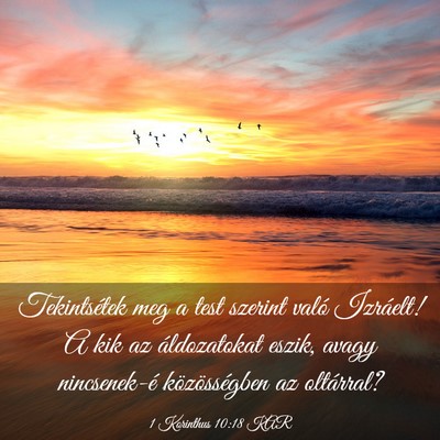 Picture 03 - 1 Korinthus 10:18 KAR - Tekintsétek meg a test szerint való Izráelt! A - Bible Verse Picture