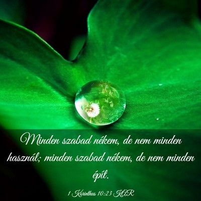 Picture 03 - 1 Korinthus 10:23 KAR - Minden szabad nékem, de nem minden használ; - Bible Verse Picture