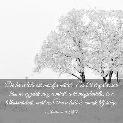 Picture 03 - 1 Korinthus 10:28 KAR - De ha valaki ezt mondja néktek: Ez - Bible Verse Picture