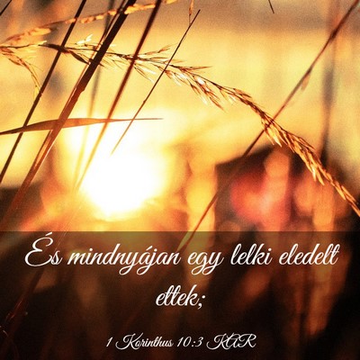 Picture 03 - 1 Korinthus 10:3 KAR - És mindnyájan egy lelki eledelt - Bible Verse Picture