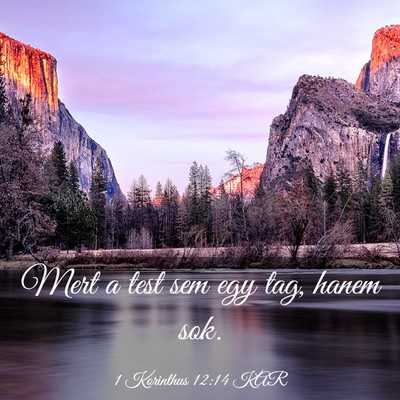Picture 03 - 1 Korinthus 12:14 KAR - Mert a test sem egy tag, hanem - Bible Verse Picture