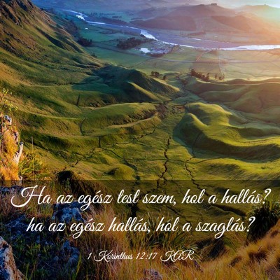 Picture 03 - 1 Korinthus 12:17 KAR - Ha az egész test szem, hol a hallás? ha az - Bible Verse Picture