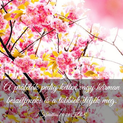 Picture 03 - 1 Korinthus 14:29 KAR - A próféták pedig ketten vagy hárman - Bible Verse Picture