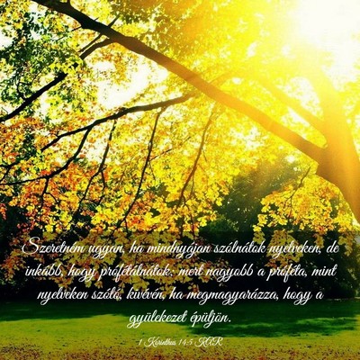 Picture 03 - 1 Korinthus 14:5 KAR - Szeretném ugyan, ha mindnyájan szólnátok - Bible Verse Picture